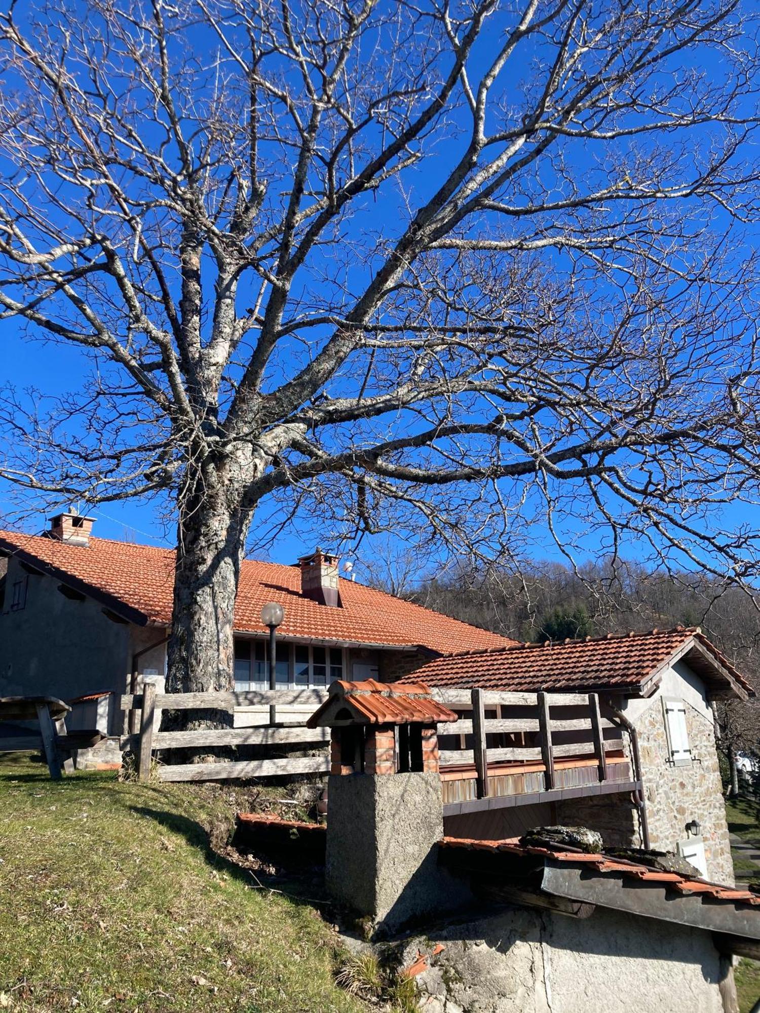 Pensjonat Casa Sperandini San Marcello Pistoiese Zewnętrze zdjęcie