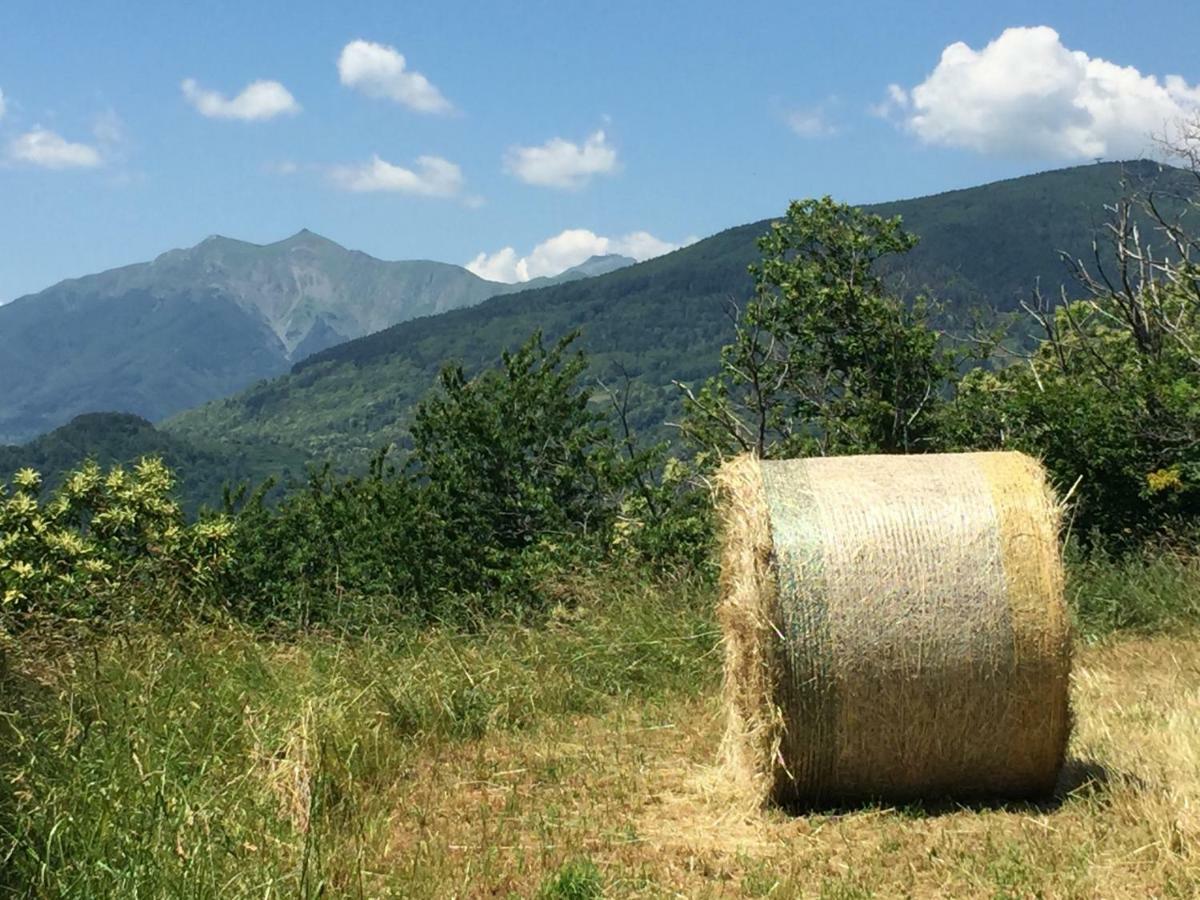 Pensjonat Casa Sperandini San Marcello Pistoiese Zewnętrze zdjęcie
